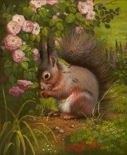 Garden Squirrel