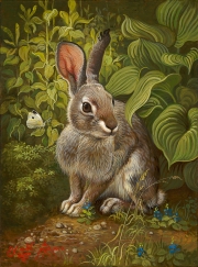 Rabbit in the Garden