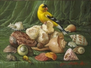Shells with Yellow Bird