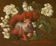 Squirrel with Jasmine